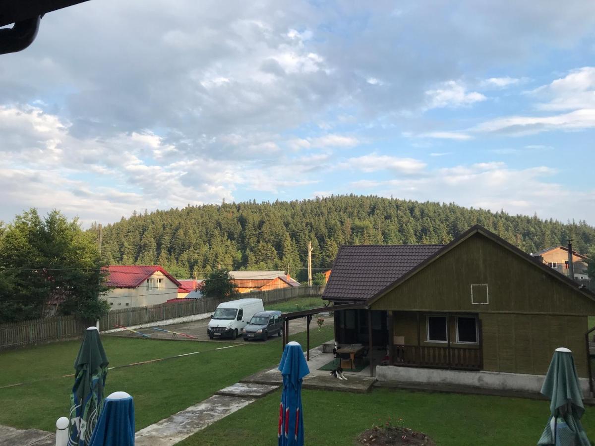 Хостел Casa Postolache Совежа Экстерьер фото